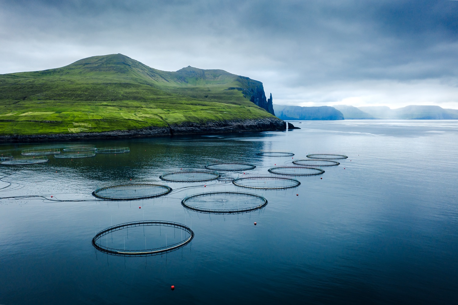 Faeroer-Inseln Aquakultur